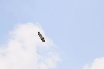 DSC_3624 (Large).JPG